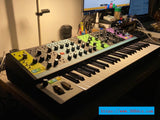 MOOG Matriarch new