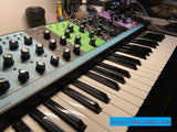 MOOG Matriarch new